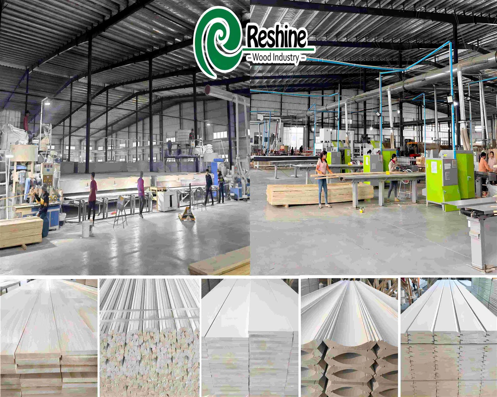 Reshine Introduction photo111 Reshine Introduction photo111