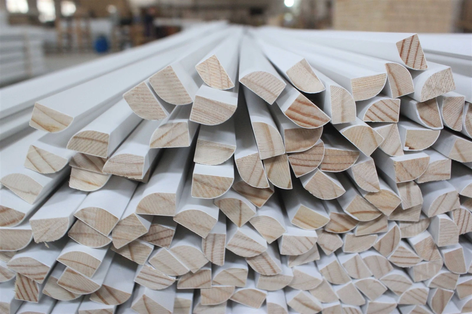 SHOE MOLDING1